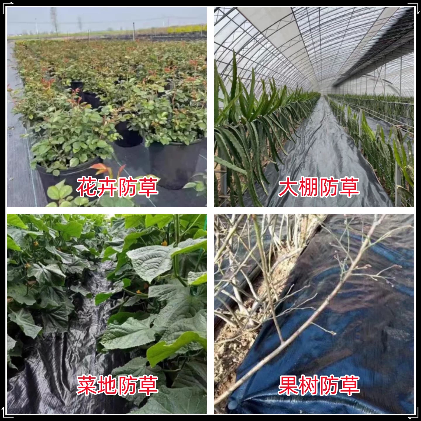 伊春市地膜防草布 - 价格